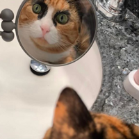 �������������ڵ��£�����ȥ��ü����