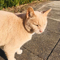 ��������èÿ����1.6����ȥҽԺ��ԭ������ֻ����Ϊ����£�