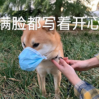 ����Ȯ������ֱ����ӣ��������˫�������Ȼ�����