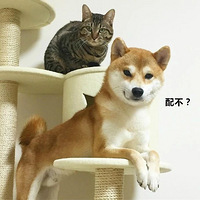 һֻ���İԵ��ܲ�׷��·...