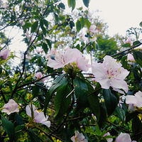 ���� ̽��