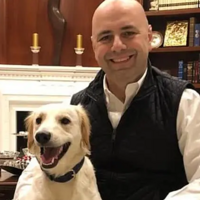 ����̨������è���ᴫ�����������½��ϱ������è����ʬ�塭