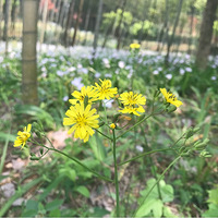 �����ģ��ö�С������