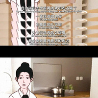 ����ȥ���Ժ�����Ҳû������è����| ��λʧ���ߵ�����