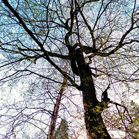 �����������ﻳ�����������Ƕ�ȥ����ʱ��