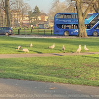 ����Կɰ��� �����費�����Ӱ ����������Ȼ�������ˡ�������