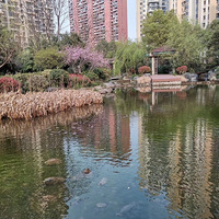 ����С���ľ����ǲ�������ҵ����ܺúô��������͸����ˡ�