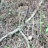 ��ާ�ˣ��������ض���[����][����]