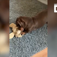 �����ڼ����˾ӼҸ��룬����̫�˷ܾ��������־ٶ���