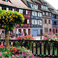 �����Ŀƶ���С��Ҳ��С����˹����һ���С��ȥ���@װ��ج