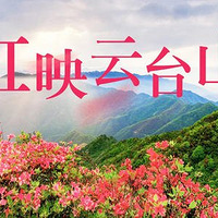 4.9/4.12���粻Զ��ֻ������̨ɽһĨ���� ̽Ѱ��Ķ�ž黨��