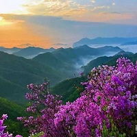 4.11��������ɭ�ֹŵ� ���� ��ɫӳɽ�� Լ����