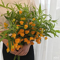 �ÿ���fafa������������[����]