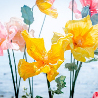 ���鹥�ԣ����Ǳ���С�ף��Ҹ���ô����