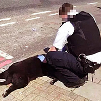 �ұ��������ⱳ�������벻���Ĳ���...