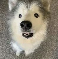 9��ǰ����ӣ�9���˺ë������������÷����ˣ�