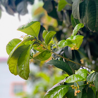 ��������ļ���Ʈ�� һ��ʼ����Ϊ�Ǵ�������ô��������㣬��