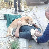 ��������Ϊ������������������¶���ľ�����������Щ����Գ���