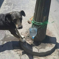 �������أ�������Ȼ��ů