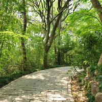 �ľ�������ɽС��