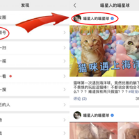 ��ǿ����èһС�ڣ���è����һ����ƣ���