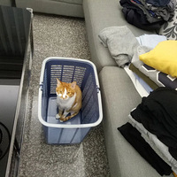 ���Ѽҵġ�С�����������Ϲ��������ӡ�̫�����ˣ�