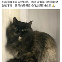 ��ɢ��������������ע�⣺ĳС���ж�ֻ����è���ֶ����ˣ�