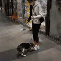 ˽ĻϲȥӹѾ˭