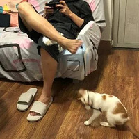 ����ս�����˵�Ȩ�����������ǲ�Ҫ������