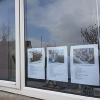 èÿ���ڴ��ڶ��������ھ�ע�⣬������������è�����ҽ��ܺ�