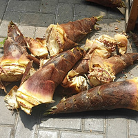 ɹ��ɣ�����ûŪ�����þ��˺��֮���Ű����ȼ��Ȼ����Ҳ�е�̫