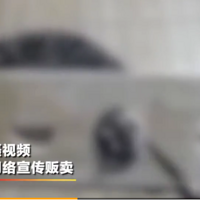 Űè��ѧ��������Ǹ����Ҫԭ������