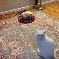 è�䣺�裡��ܹ�������