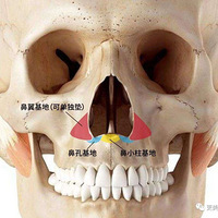 ��������μ�Ů��ѡ�㣬�ɲ�����ƭ����¶ҽ���������а���