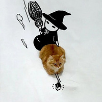 �����ѷ���һֻ����ǰ��è���ִ���ġ����ո��ˡ���ʼ�ˡ�