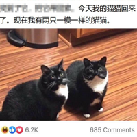 �ҵ�èʧ�ٺ󣬱���ѧ��ץȥ��¡�ˣ�����....