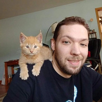 è�ڻ�԰��������������̫���񣬸���ͱ�������