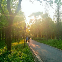 Ϧ�����޺ã�ֻ�ǽ��ƻ衣