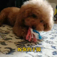 Ȯϲҧ˵ֽţǷ