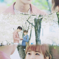 һ��׷�簡��[����][����][����][����][����]