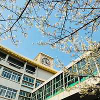 һ����п������ţ�Ը������������ĥ�£����в�����������������