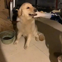 ëȮƻ󣬸յҾͲһɳͷҪ