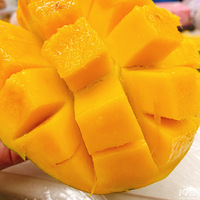 ��Ҫ���������[����] 19¥�������ĳ���ֻ��â����������