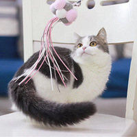 һֻ��������������