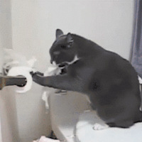 ���������ұ�è�ұ��ˣ�