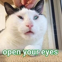 �����찮����˺���ˣ��㶼Ҫ�����ˣ���
