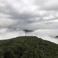 ������������̽�յ�����