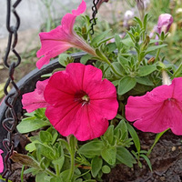 �һ����������ۡ�