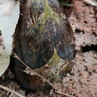 ��ɽ�������ʿ���