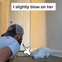 ůһ𴲣Ҳ̫